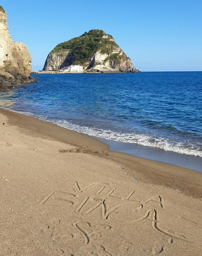 Villa Bina Sea Hotel Sant'Angelo  Екстер'єр фото